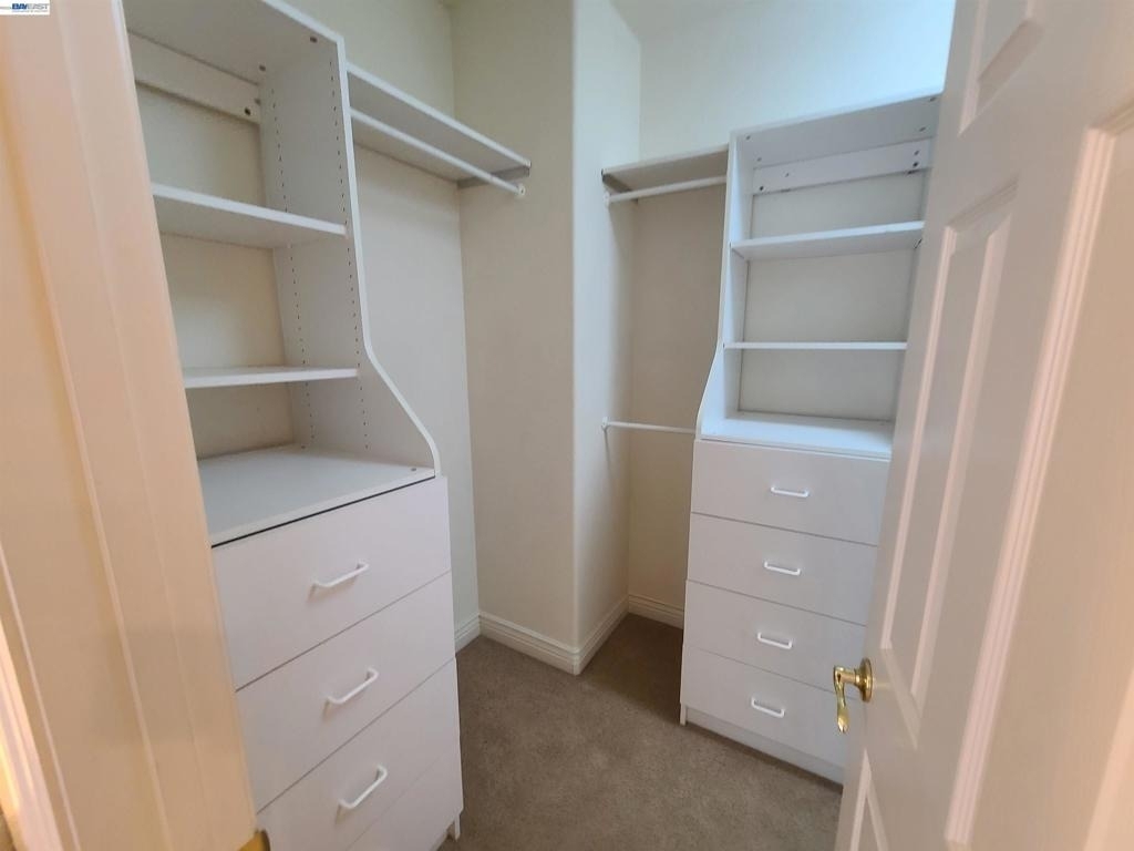204 Abigail Cir - Photo 40
