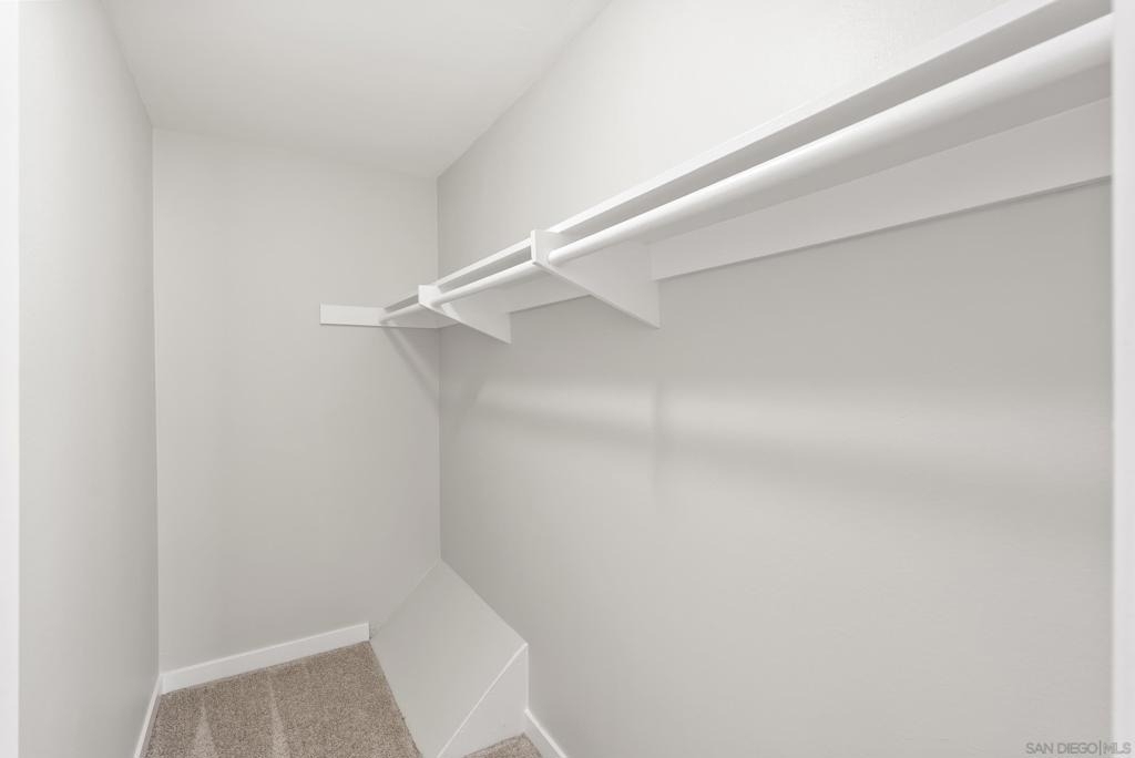 6908 Camphor Lane - Photo 14