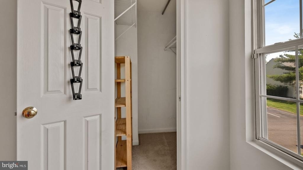 11011 Coreys Way - Photo 11
