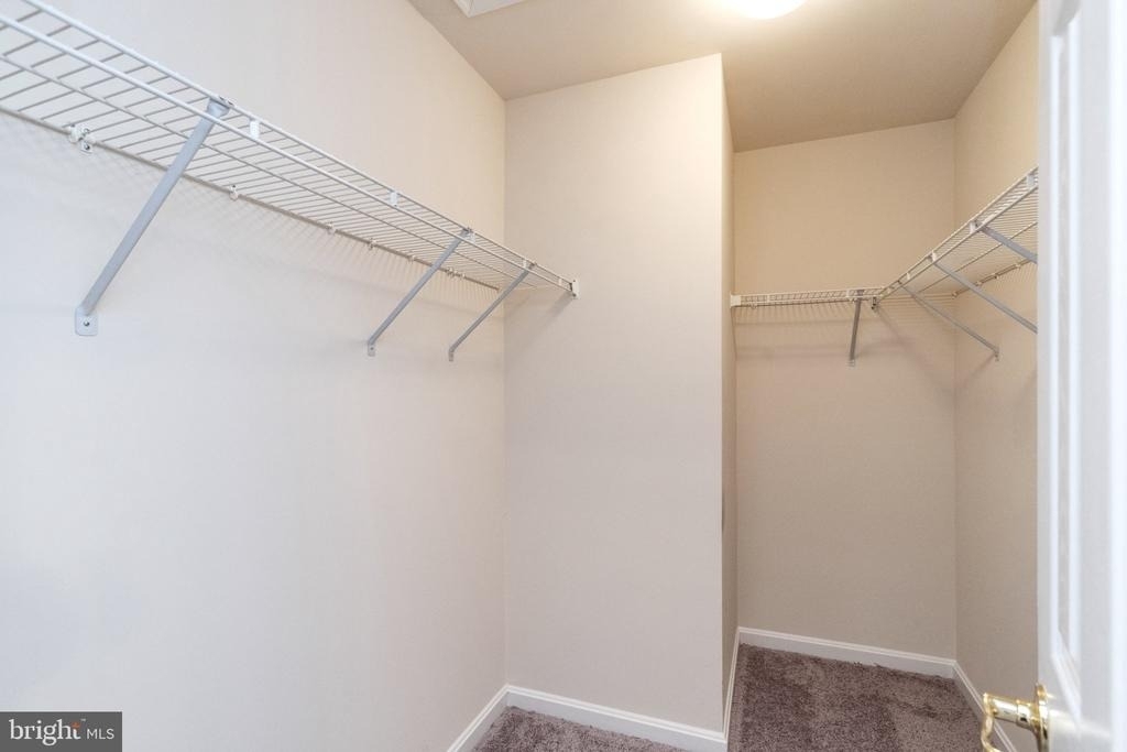 2801 Chinkapin Oak Lane - Photo 14