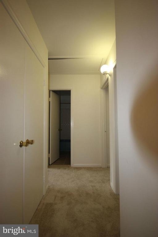 3722 Persimmon Circle - Photo 13
