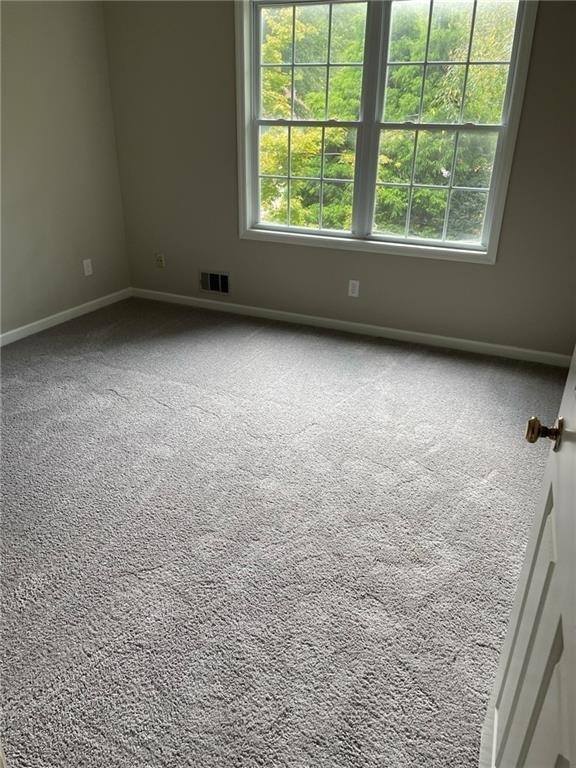 1081 Colony Drive - Photo 20