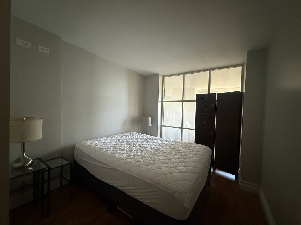 400 E Randolph Street - Photo 8