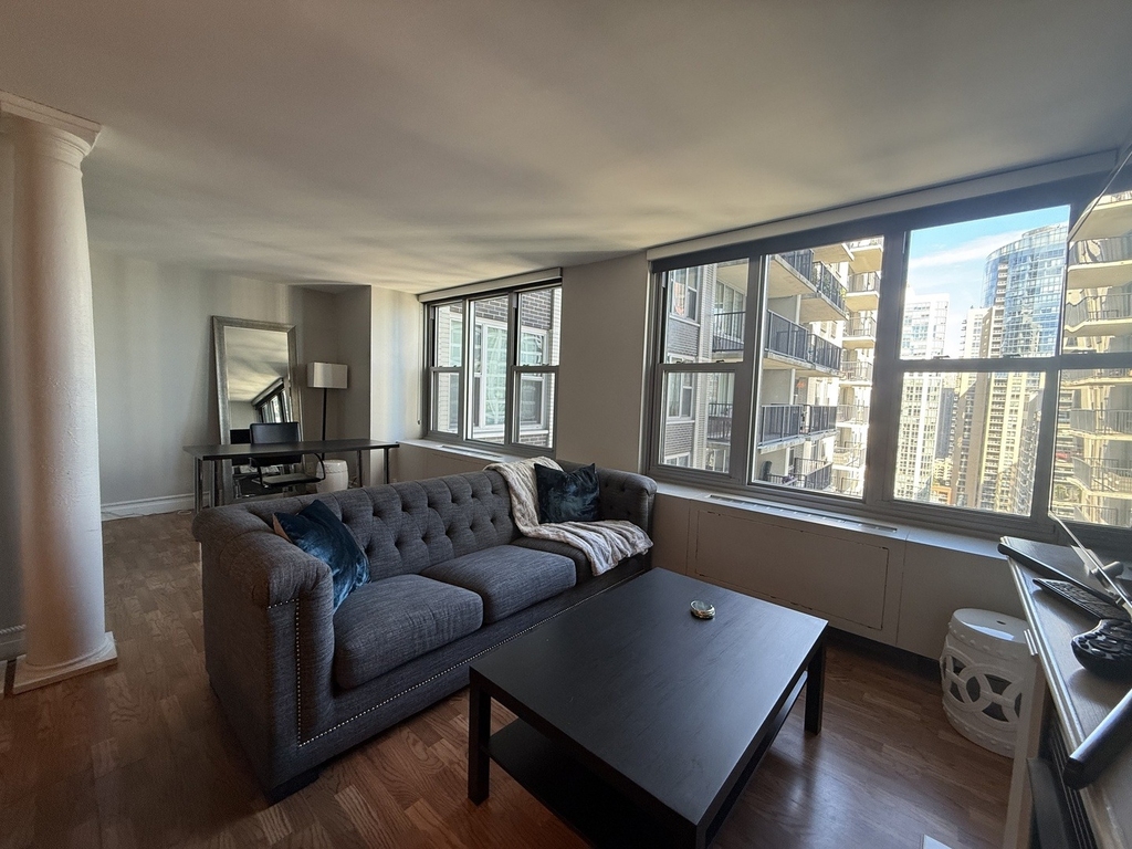 400 E Randolph Street - Photo 10