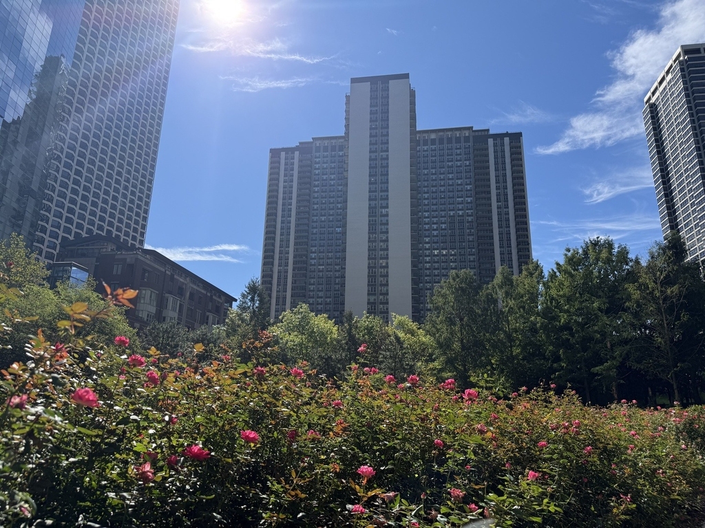 400 E Randolph Street - Photo 1