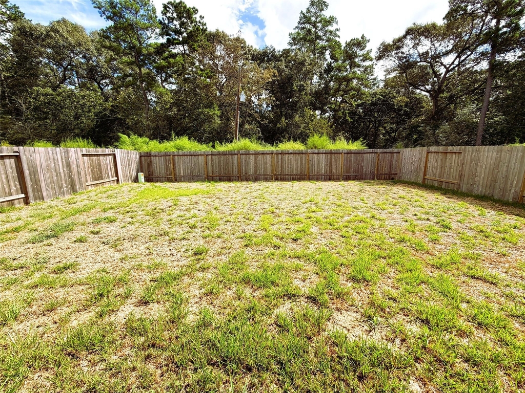 24855 Springbluff Valley Court - Photo 18