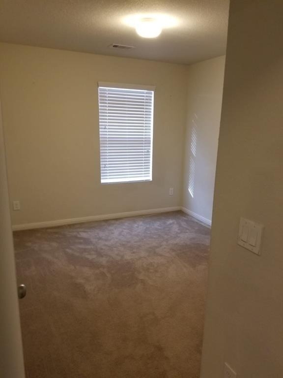 14103 Mystic Shores Lane - Photo 14