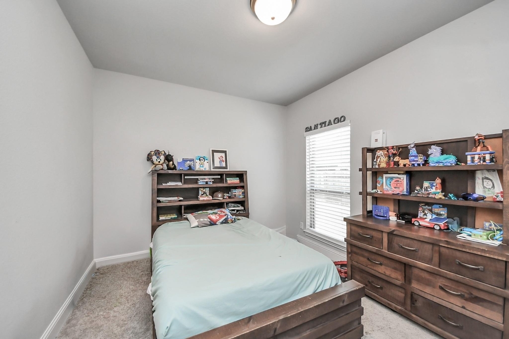 16323 Tulipan Spring Trail - Photo 17