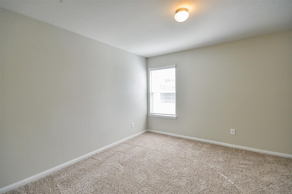 25119 Bells Canyon Drive - Photo 18