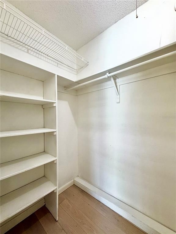 7501 Gallineta Court - Photo 12