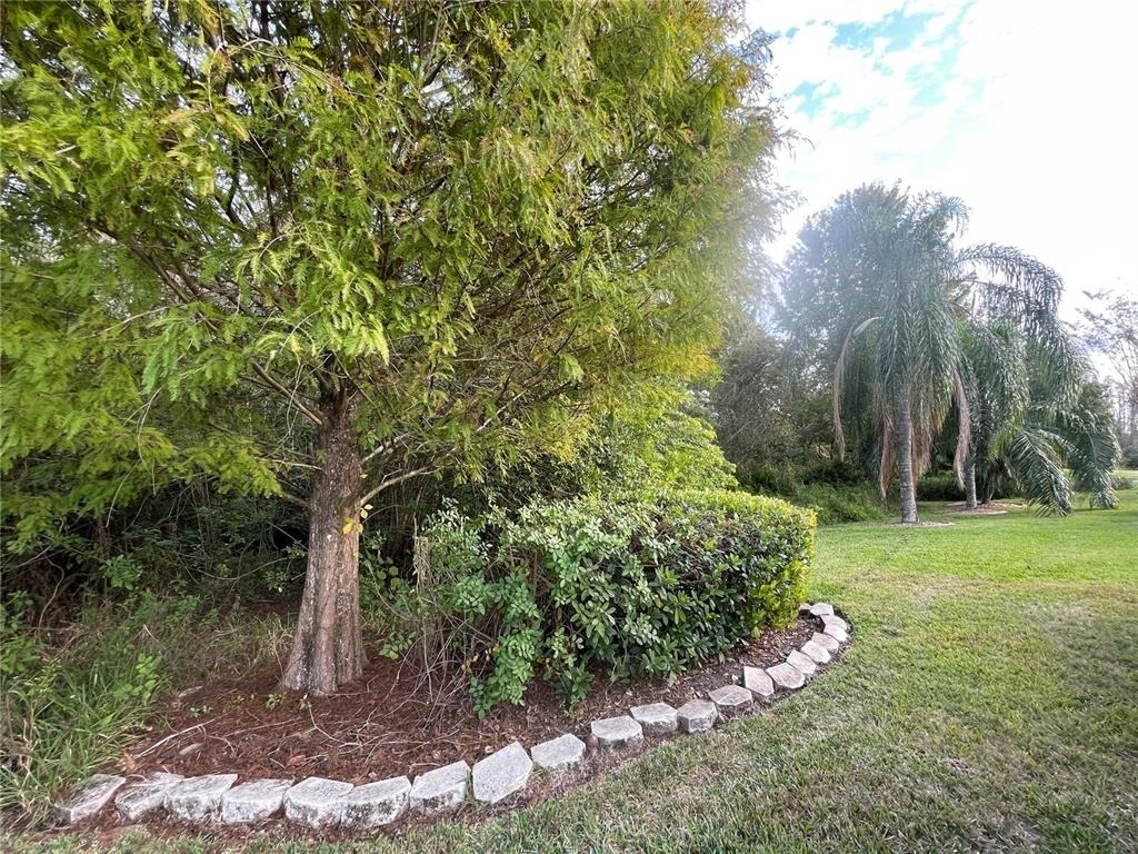 2319 Nesslewood Dr - Photo 39