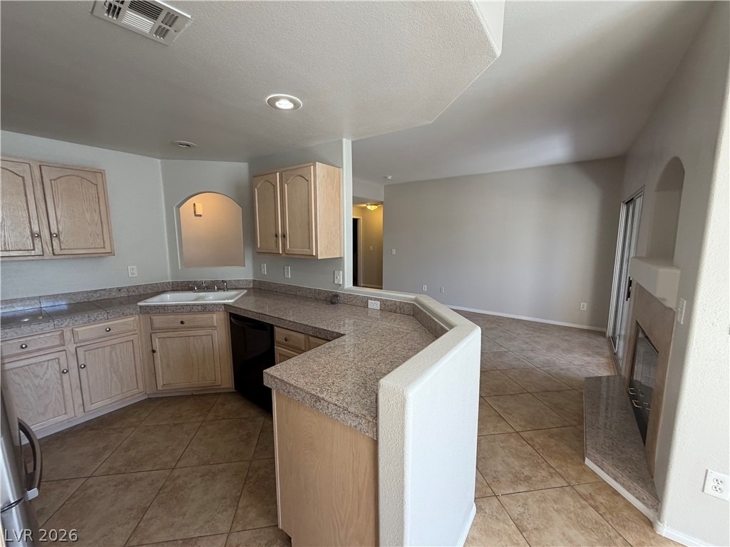 2050 W Warm Springs Road - Photo 5