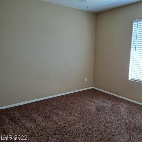 9297 Indian Cane Avenue - Photo 30