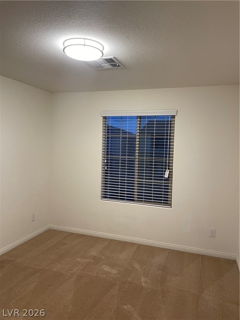 8222 Grizzly Peak Drive - Photo 15