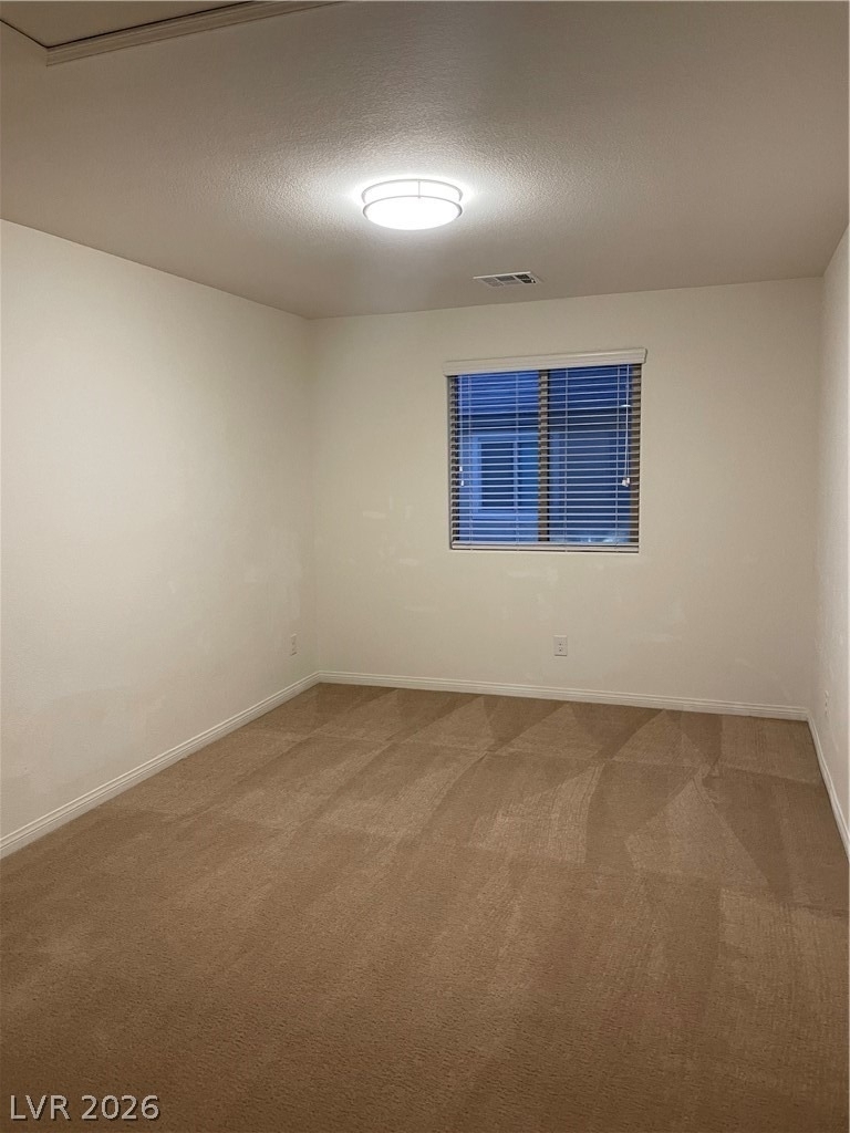 8222 Grizzly Peak Drive - Photo 12