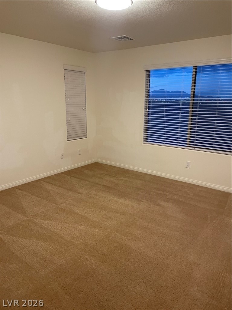 8222 Grizzly Peak Drive - Photo 13