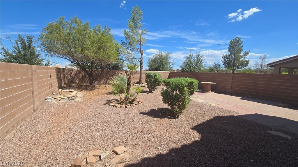 6940 Caspian Tern Street - Photo 1