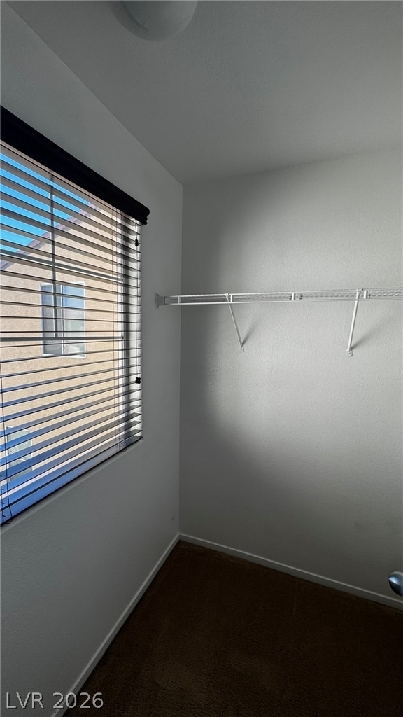 10923 Scotch Rose Street - Photo 16