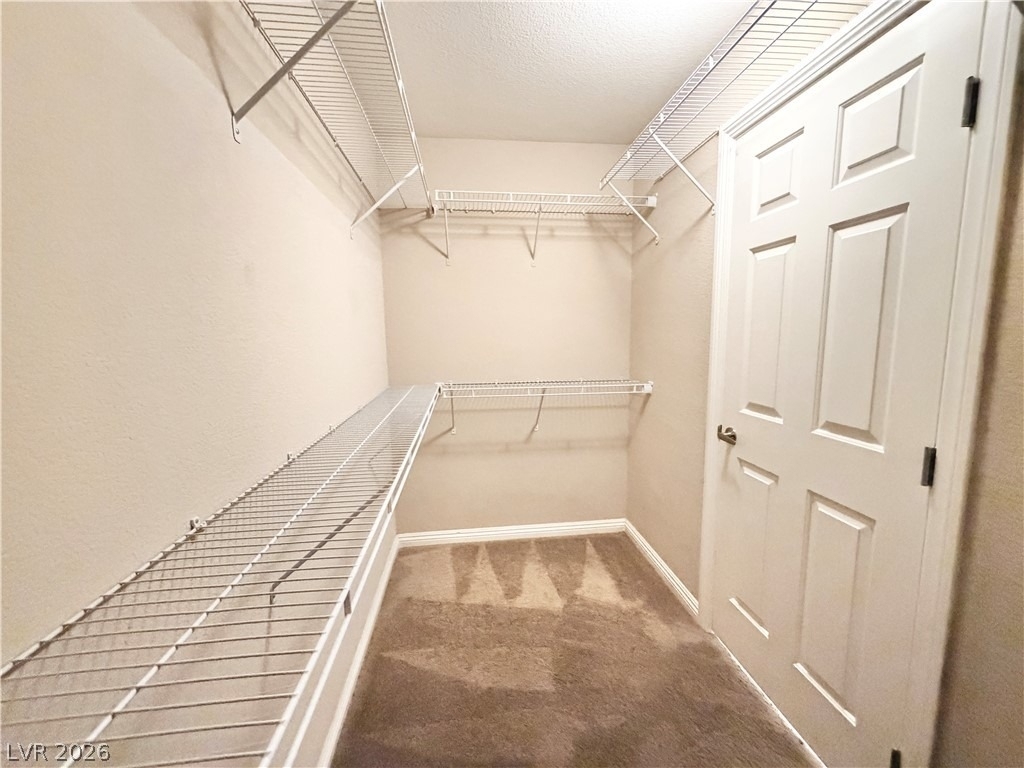 10360 Blue Ginger Drive - Photo 24
