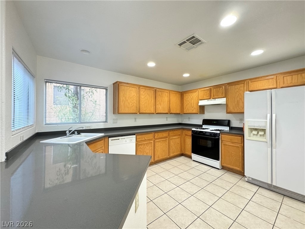 10433 Wyatt Earp Court - Photo 6