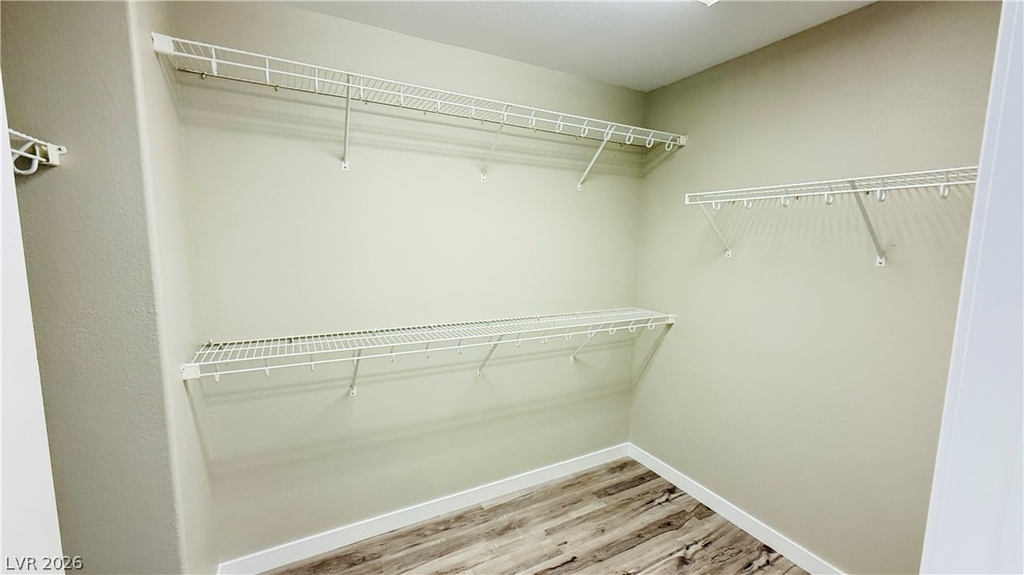 10202 Purple Primrose Drive - Photo 13