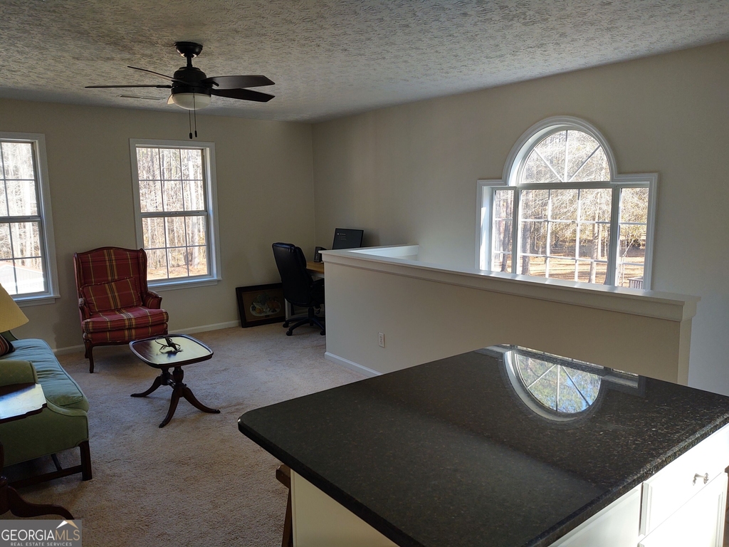 1467 Elders Mill Road - Photo 5