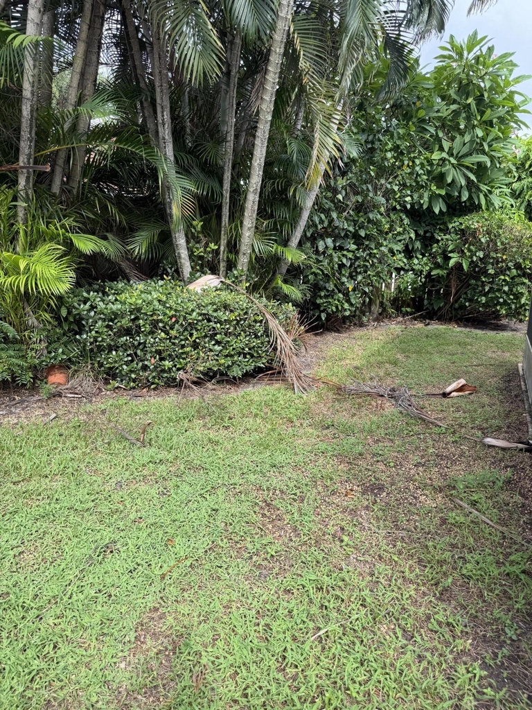 10174 Plum Street - Photo 18