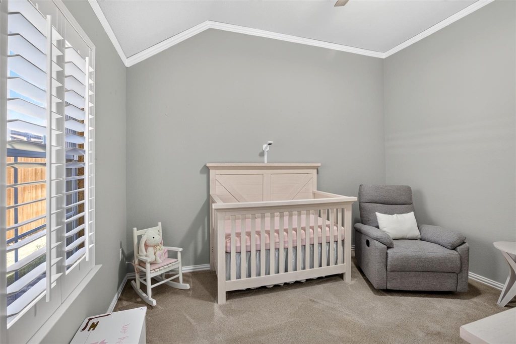 10908 Shadow Brook Lane - Photo 13