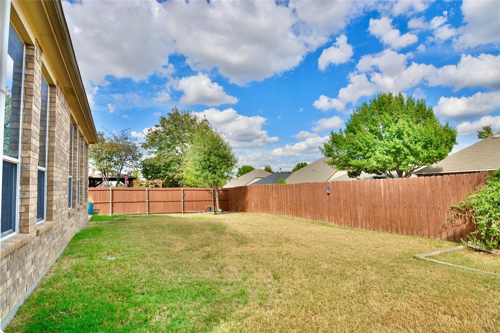 12420 Grey Twig Drive - Photo 5