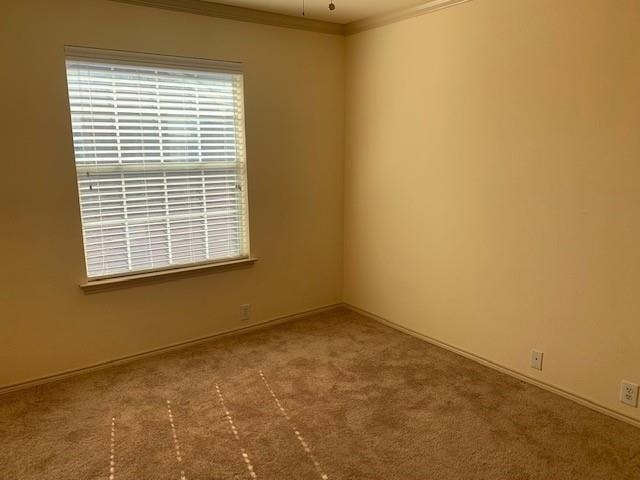 2226 Glacier Park Lane - Photo 12