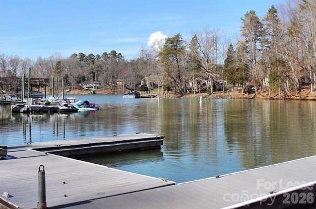 10442 Chelsea Bay Drive - Photo 46