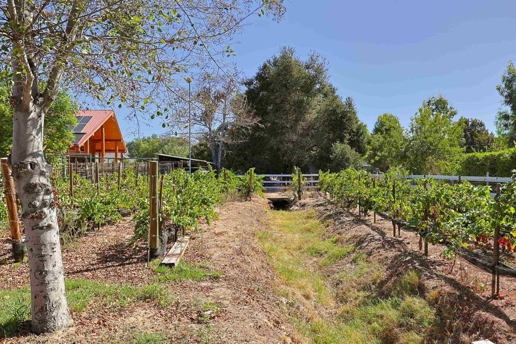 13101 Sudan Road - Photo 27