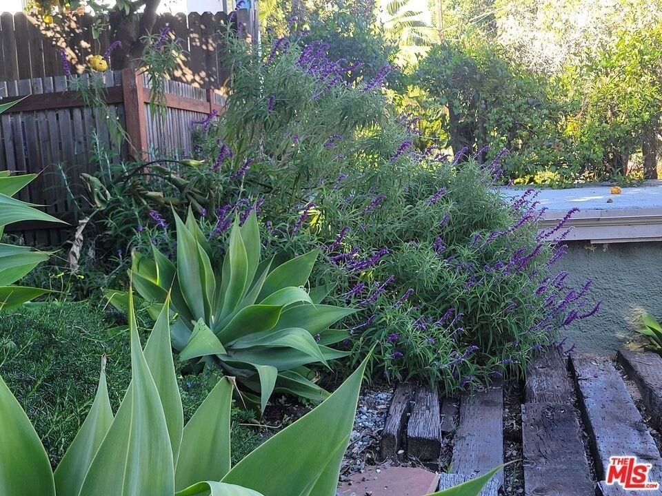 1961 Echo Park Avenue - Photo 11