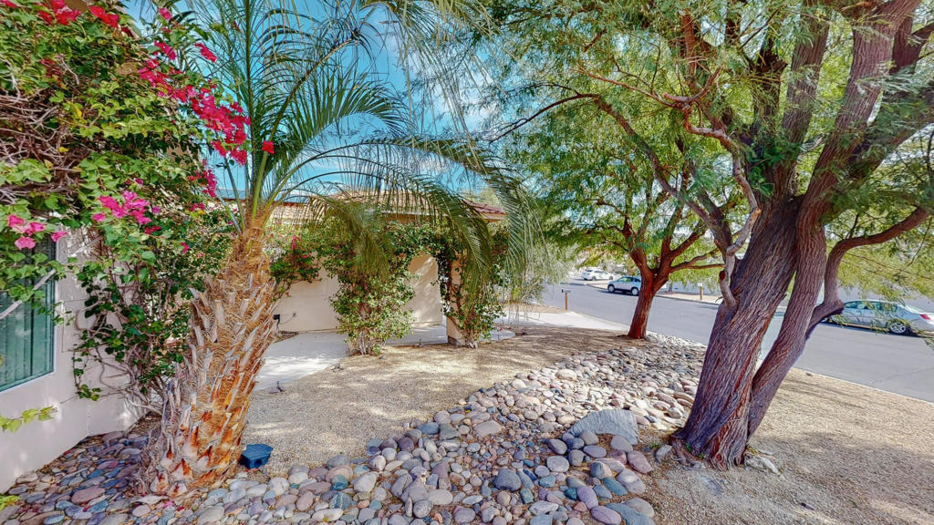 9319 Vista Del Valle - Photo 3