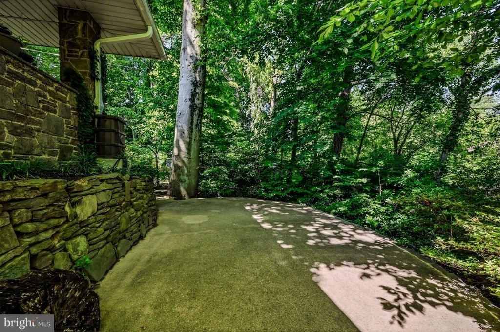 10 Beech Avenue - Photo 38