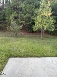 3452 Mackinac Island Lane - Photo 23