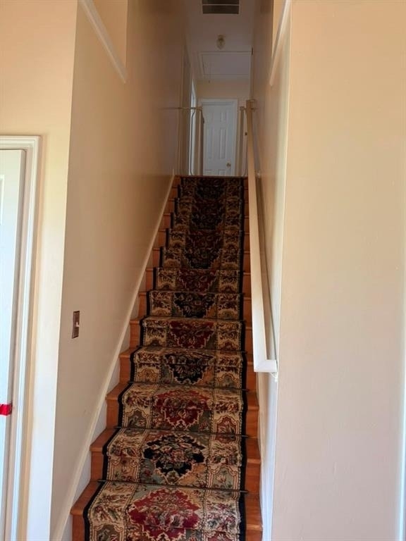 4658 Score Court - Photo 10