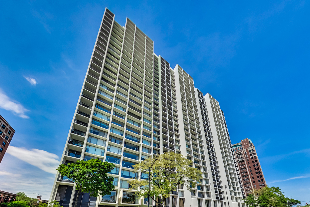 3200 N Lake Shore Drive - Photo 0