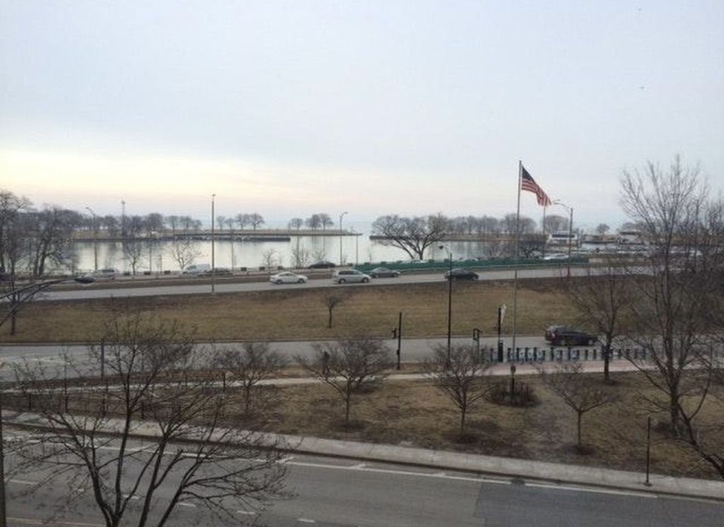 3200 N Lake Shore Drive - Photo 9