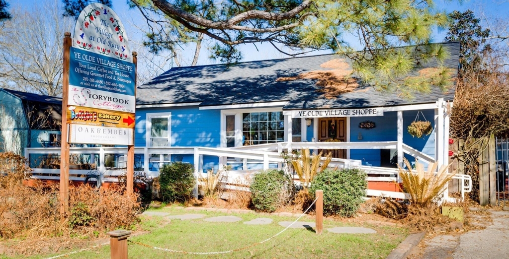 6766 Sunset Velvet Drive - Photo 16