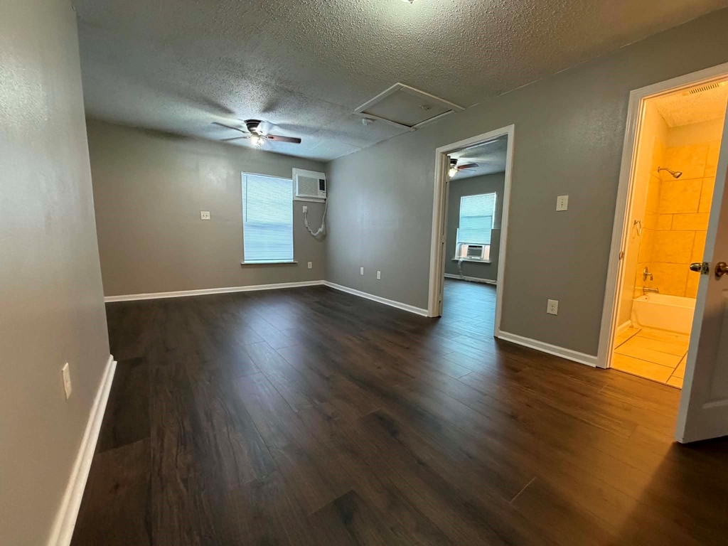 3028 Avenue M - Photo 1