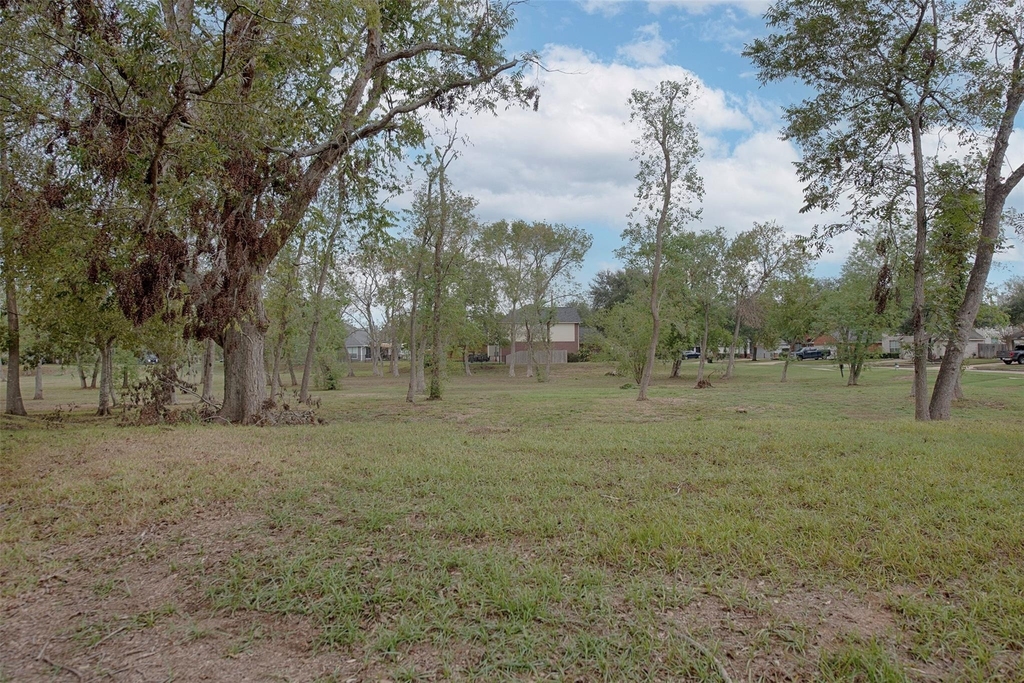 10411 Village Lake Drive - Photo 39
