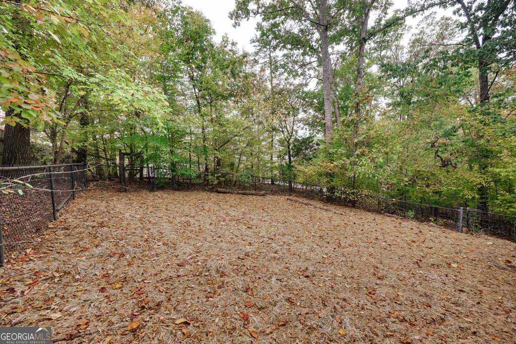 555 Snapfinger Drive - Photo 41