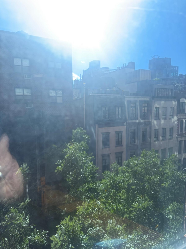 East 83rd Street - Photo 7