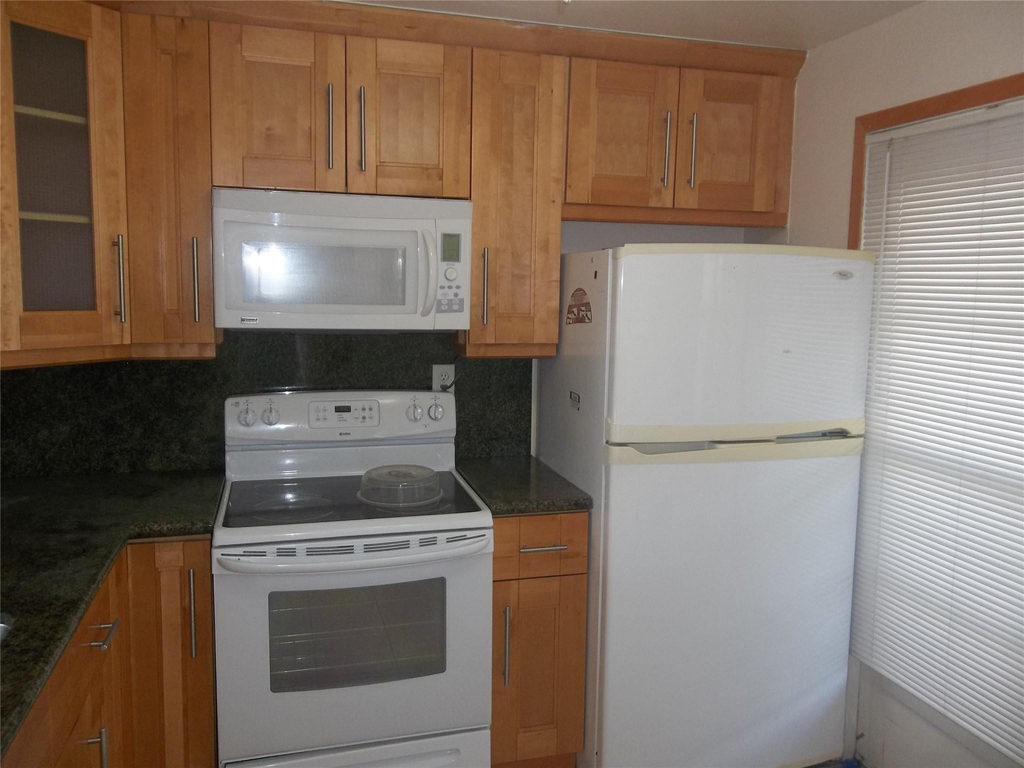 1893 S Ocean Drive - Photo 1