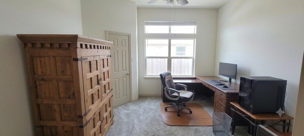 13733 Alterna Drive - Photo 12