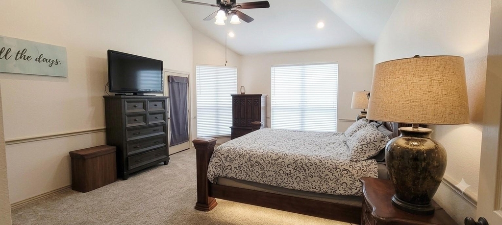 13733 Alterna Drive - Photo 17