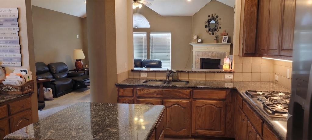 13733 Alterna Drive - Photo 7