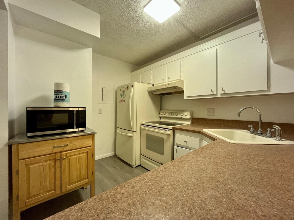 208 Foxtail Drive - Photo 3