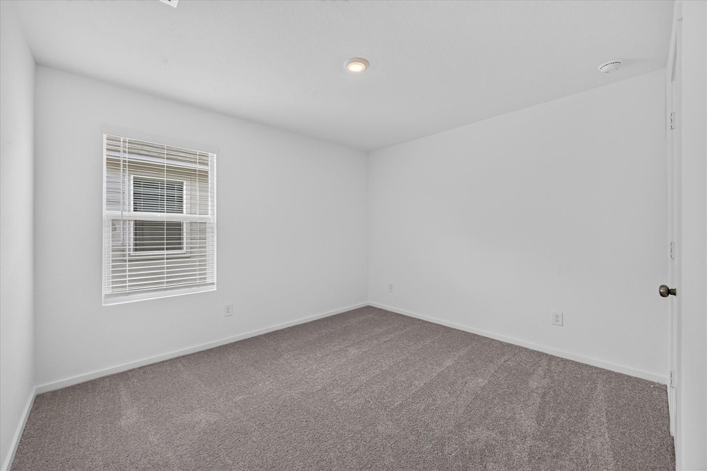 5330 Cinnamon Lane - Photo 15